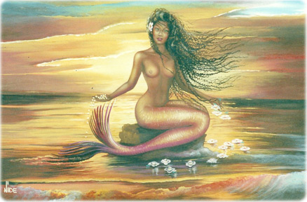Afro Brasileira